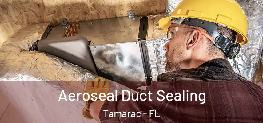 Aeroseal Duct Sealing Tamarac - FL
