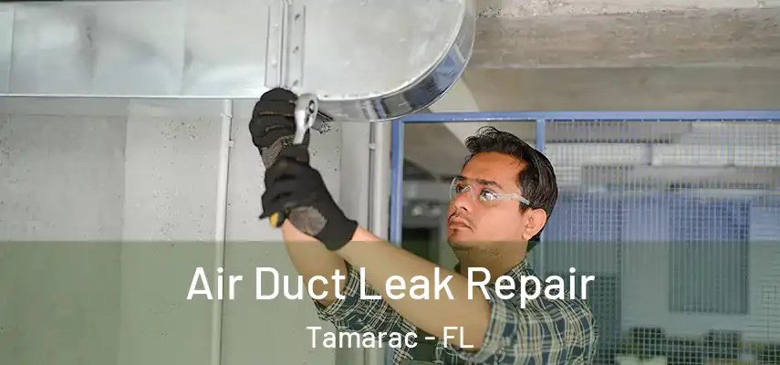Air Duct Leak Repair Tamarac - FL